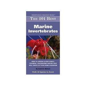    Top Quality The 101 Best Marine Invertebrates