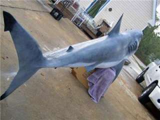   White Shark fish Replica 3/D Wall MOUNT Big Teeth and Fierce   