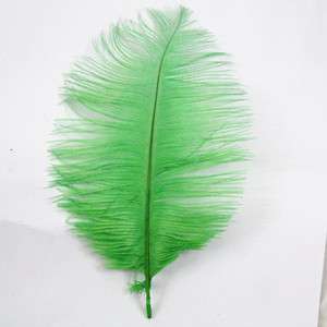 20pcs ostrich feathers dyed colors feathers Length 18 20cm  