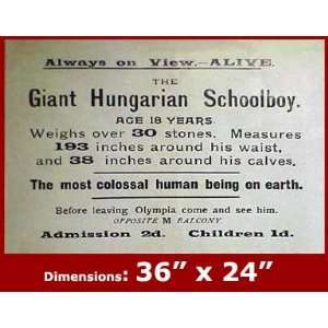 RICKY JAY Grant Giant Hungarian Schoolboy 24x36 Poster