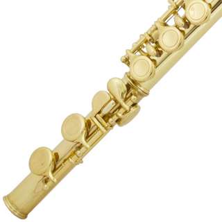 NEW GOLD LACQUER C FLUTE Split E +Case +Care Kit +$39 Tuner   Teachers 