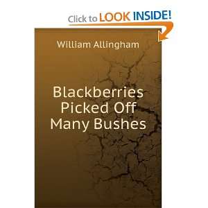    Blackberries Picked Off Many Bushes William Allingham Books