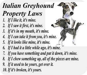 ITALIAN GREYHOUND DOG PROPERTY LAW   COMPUTER MOUSE PAD  
