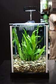  Fluval SPEC Desktop Glass Aquarium, 2 gallon