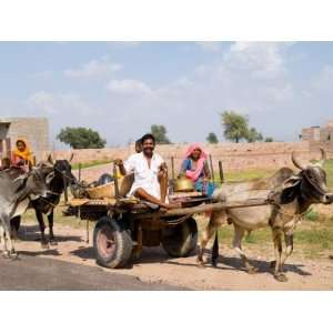  Gypsy Family and Cow Driven Cart, Great Indian Thar Desert 