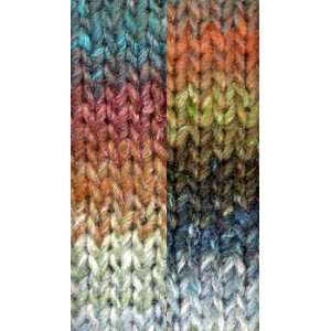  Noro Yarn Iro 117 Arts, Crafts & Sewing