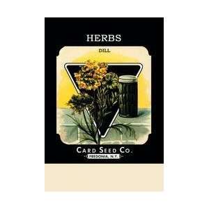  Herbs Dill 20x30 poster