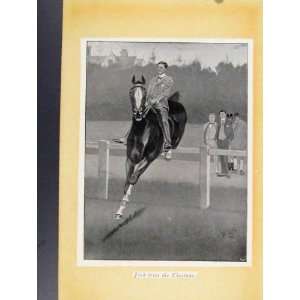  Jack Tries Chestnut Horse Jumping Sketches Old Print