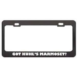 Got KuhlS Marmoset? Animals Pets Black Metal License Plate Frame 