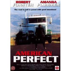  American Perfekt Poster Movie Danish 27x40