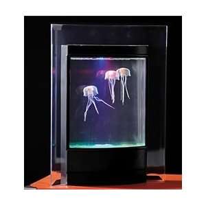  Jellyfish Aquarium