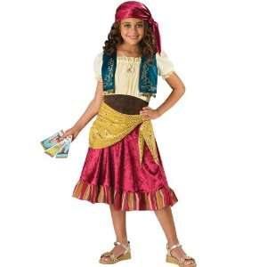  Gypsy Costume Medium 7 8 Kids Halloween 2011 Toys & Games