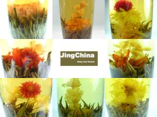 Organic Blooming Flower Green Tea Variety gift pack  