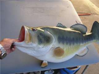 NEW XXL 18 lb Largemouth BASS Inexpensive Sale price Fish Decor Mount 