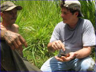 This is an authentic Dominican Amber Gemstone excavated in the La 