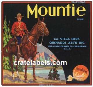 Original* MOUNTIE Canada Police Horse VILLA PARK Orange Crate Label 