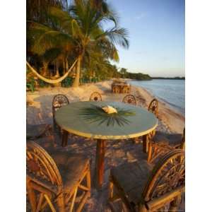  Seashell and Palm Leaves on a Table and Chairs on a Beach 