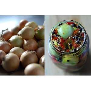   Pearl Pickle Onions 100 Bulbs   Sweet Taste Patio, Lawn & Garden