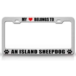  MY HEART BELONGS TO AN ISLAND SHEEPDOG Dog Pet Steel Metal 
