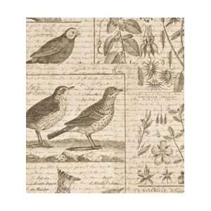  K&Company Engraved Garden Shimmer Vellum 12X12 Bird; 12 