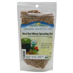 Organic Hard Red Wheat Seed  1/2 Pound (8 Oz.)  Grow Wheatgrass, Flour 